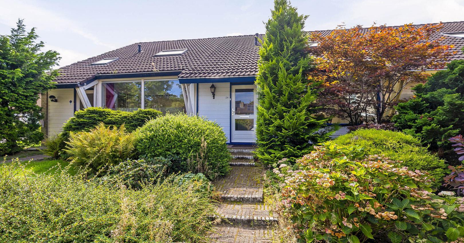 de Savornin Lohmanstraat 24 b8cf691c1dab2fa4eab96ba02715ad22.jpg