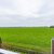 a1572754aa182a10db8abfc3c82ace24.jpg