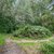 fc577fa020bddd84d2cc126516ea84ef.jpg