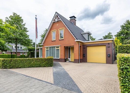 De Koppel Paarden 2